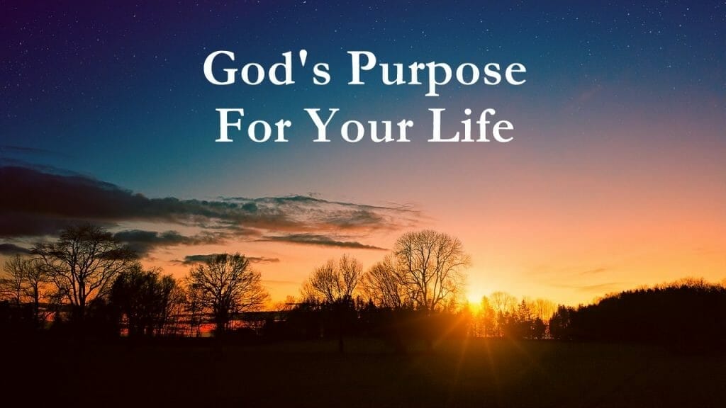 god's purpose for you life, purpose of life, purpose and meaning of life, purpose and meaning, how to find purpose in life, how to have abundant life