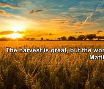 share the gospel of jesus christ with confidence, evangelism, share christ without fear, spiritual harvest is great, the harvest is plentiful, the harvest is great, follow jesus be fishers of men, fisher of men, follow jesus, pursuing intimacy with god, pursuing intimacy with god book, pursuing intimacy with god bible studies, jesus, jesus christ, intimacy with god. pursuing intimacy with god, prayer, worship, bible, bible study, bible studies, hear gods voice, gods will, know god, relationship with jesus, jesus christ, disciples, discipleship, worship, true worship, praise, prayer, why pray, powerful prayer, gods plans, gods purpose, praisegod, revival, spiritual revival, spiritual awakening, missions, mission trips, successfully share christ, share jesus