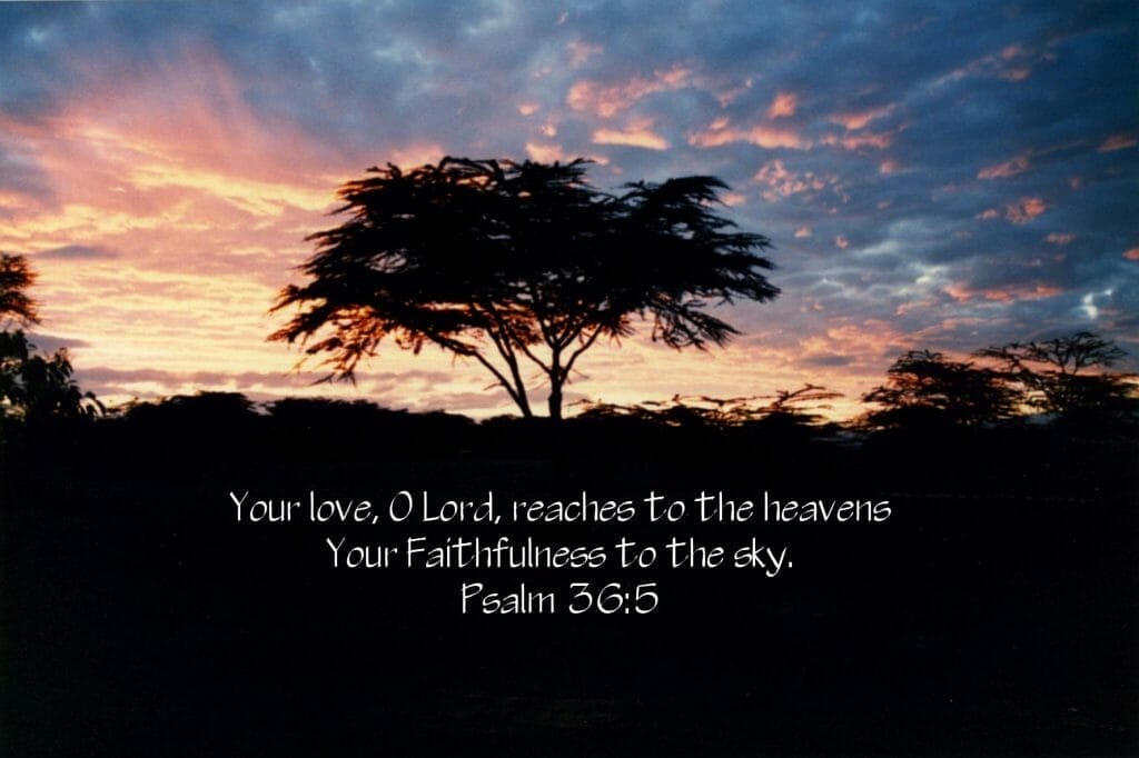 desires of god's heart, what prayer is, jesus, jesus christ, intimacy with god. pursuing intimacy with god, prayer, worship, bible, bible study, bible studies, hear gods voice, gods will, know god, know jesus, relationship with jesus, jesus christ, disciples, discipleship, worship, worship god, worship jesus, true worship, praise, prayer, why pray, the desires of god's heart, god's desires, god's love, god's heart