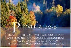 proverbs 3 5-6, trust god, trust god with all your heart, faith, faith in god