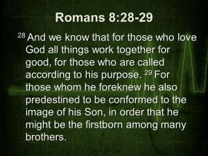 romans 8 28-29, praising god, worship god, in all things, god is good, god's goodness, god's purpose