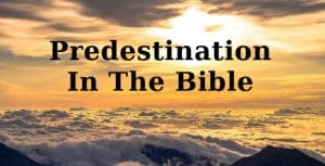 predestination in the bible, predestination, predestination salvation, salvation, the elect, god wants all to be saved