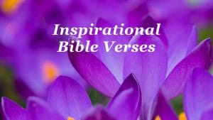 inspirational bible verses, inspirational bible verses & quotes, inspirational bible quotes, encouraging bible verses, inspirational, inspirational scriptures, encouraging scriptures
