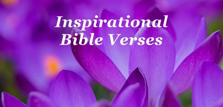 inspirational bible verses, inspirational bible verses & quotes, inspirational bible quotes, encouraging bible verses, inspirational, inspirational scriptures, encouraging scriptures