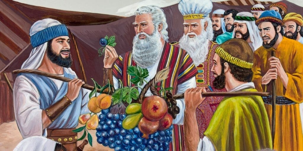 12 spies bible lessons, lessons from the 12 spies, 12 spies of israel, promised land, nation of israel, covenant promise to abraham