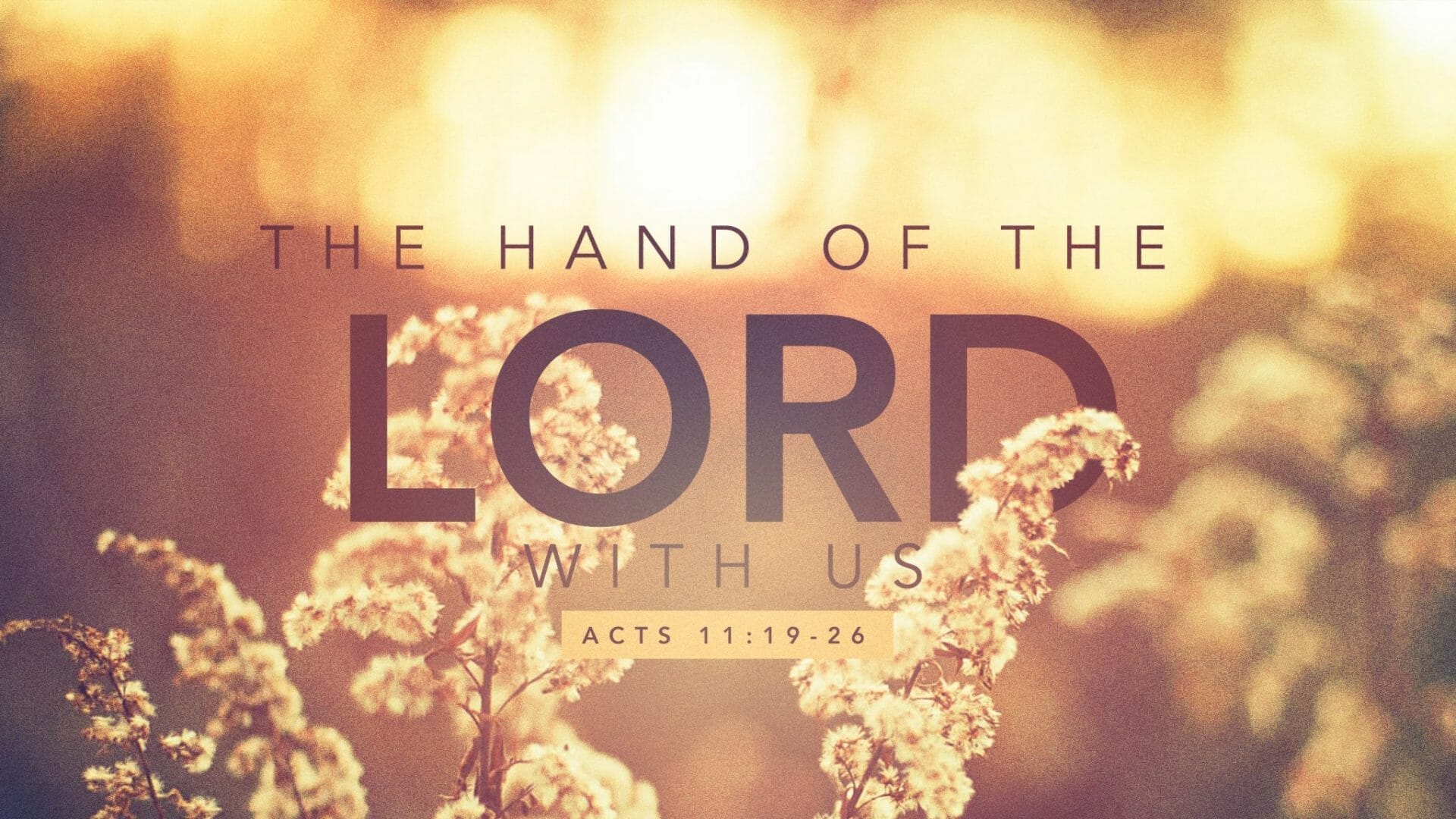 the hand of the lord, god's great power, god's anointing, acts 2 42, committed to jesus, disciple