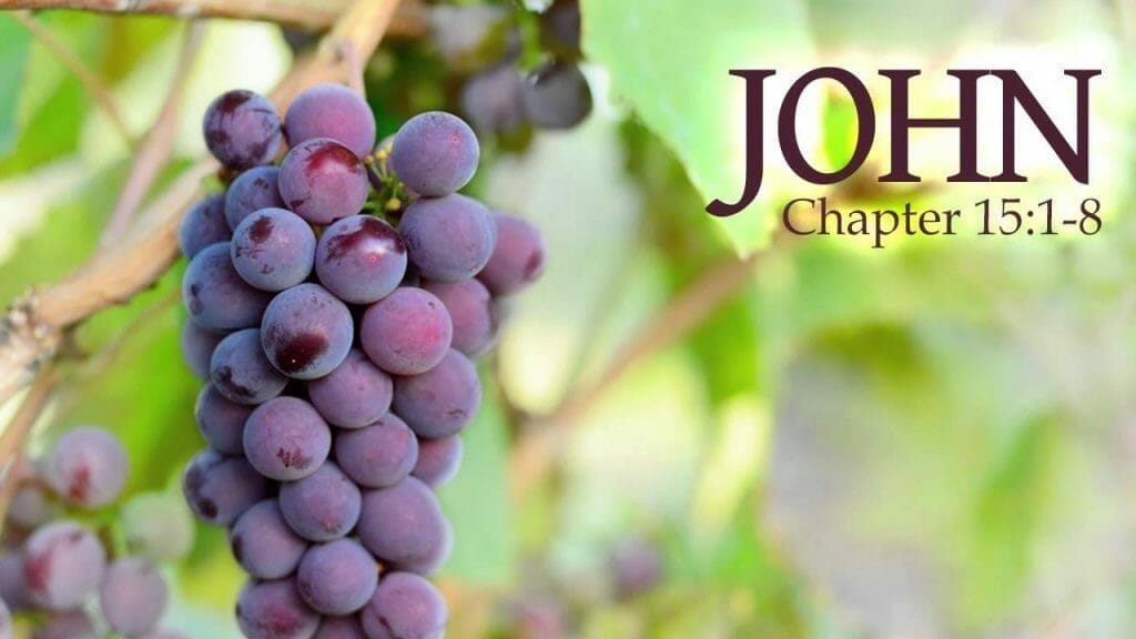 the hand of the lord, all mighty god, power of god, great power of god, john 15 8, john 15