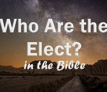 predestination and election in the bible, the elect, who are the elect, god's chosen people, salvation, predestined for salvation