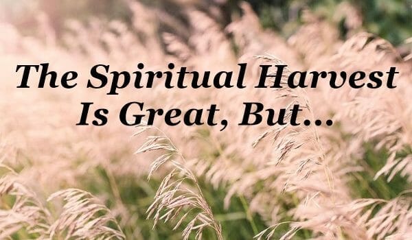 spiritual harvest is great, the harvest is great, the harvest is plentiful, matthew 9 37, evangelism