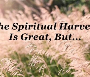 spiritual harvest is great, the harvest is great, the harvest is plentiful, matthew 9 37, evangelism