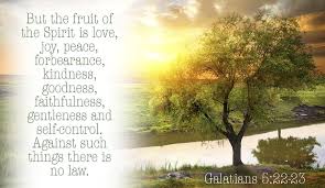 fruits of the holy spirit, fruit of the spirit, fruit of the holy spirit, love, joy, peace