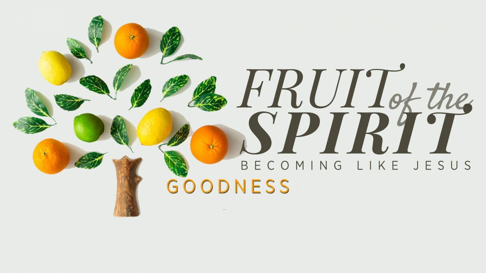 Fruits Of The Holy Spirit - Goodness - Pursuing Intimacy With God