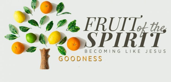 fruits of the holy spirit, goodness, no one is good, god is good, god is good all the time
