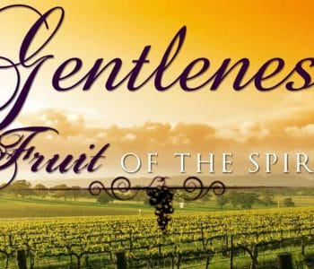 fruits of the holy spirit, gentleness, gentleness of god, gentleness of jesus