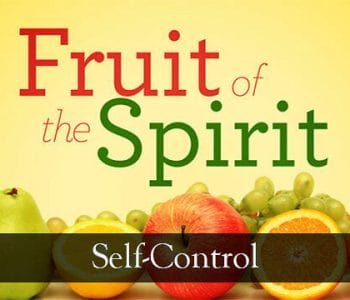 fruits of the holy spirit, self control, flesh, flesh is weak, holy spirit, christian life