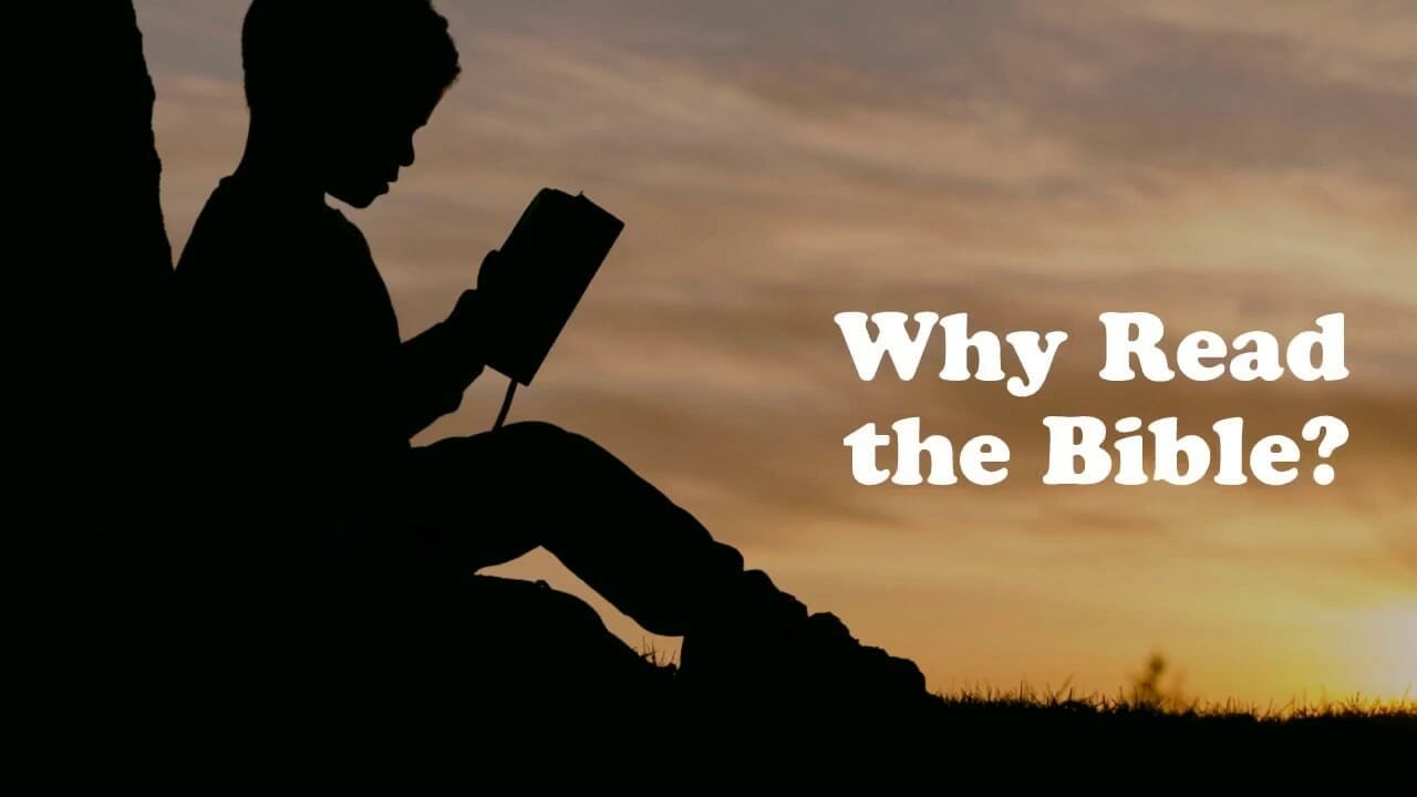 why read the bible daily, god's word, the bible, bible study
