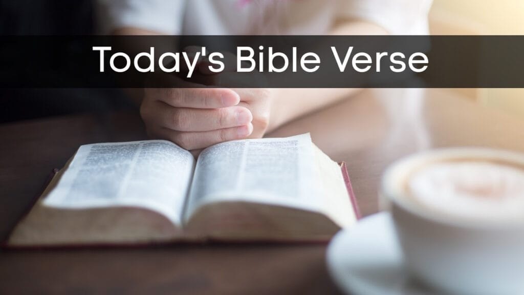 daily bible verse, bible studies, bible verses, intimacy with god, search the bible